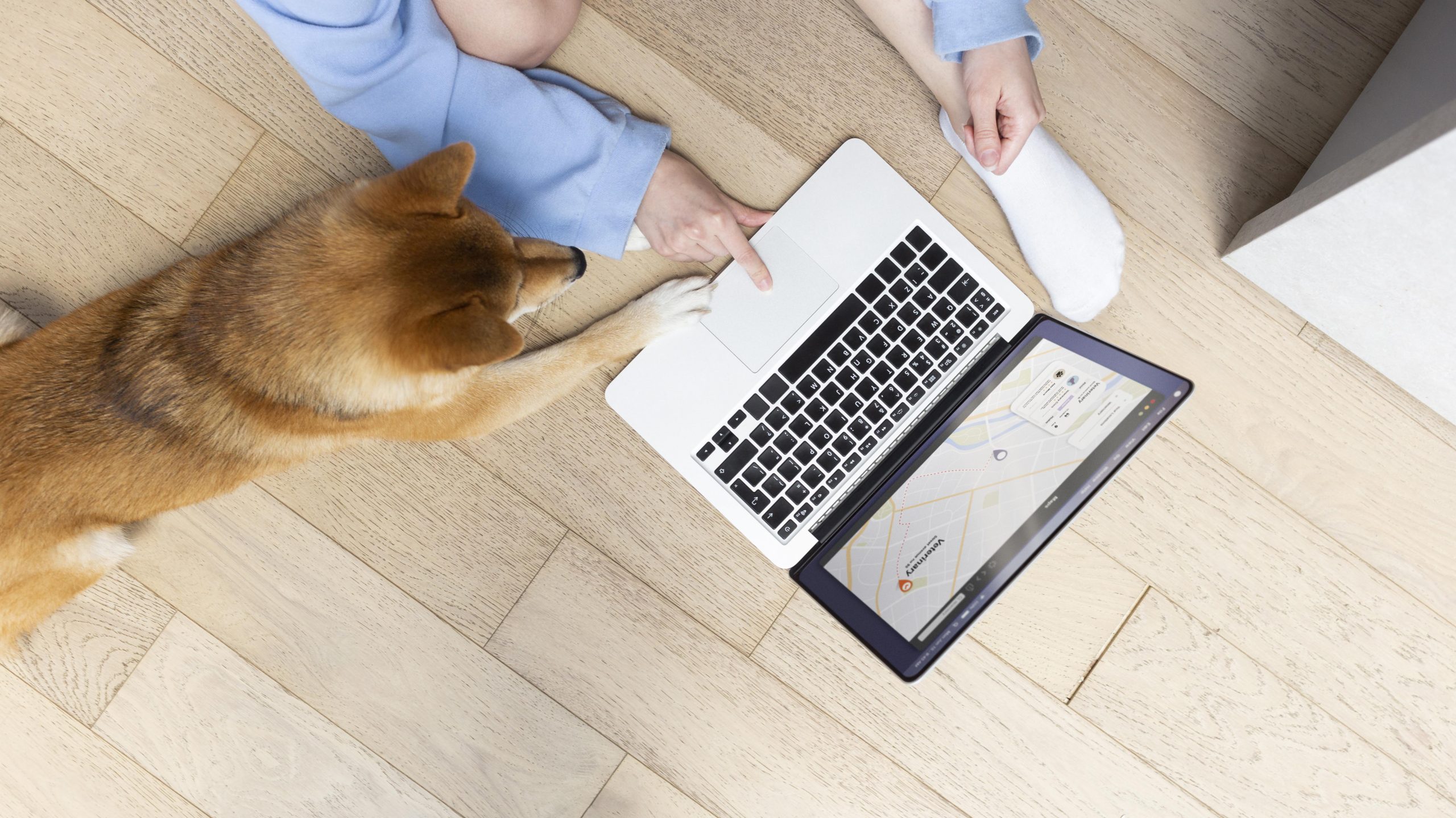 6 motivos para criar um blog para a sua clínica veterinária