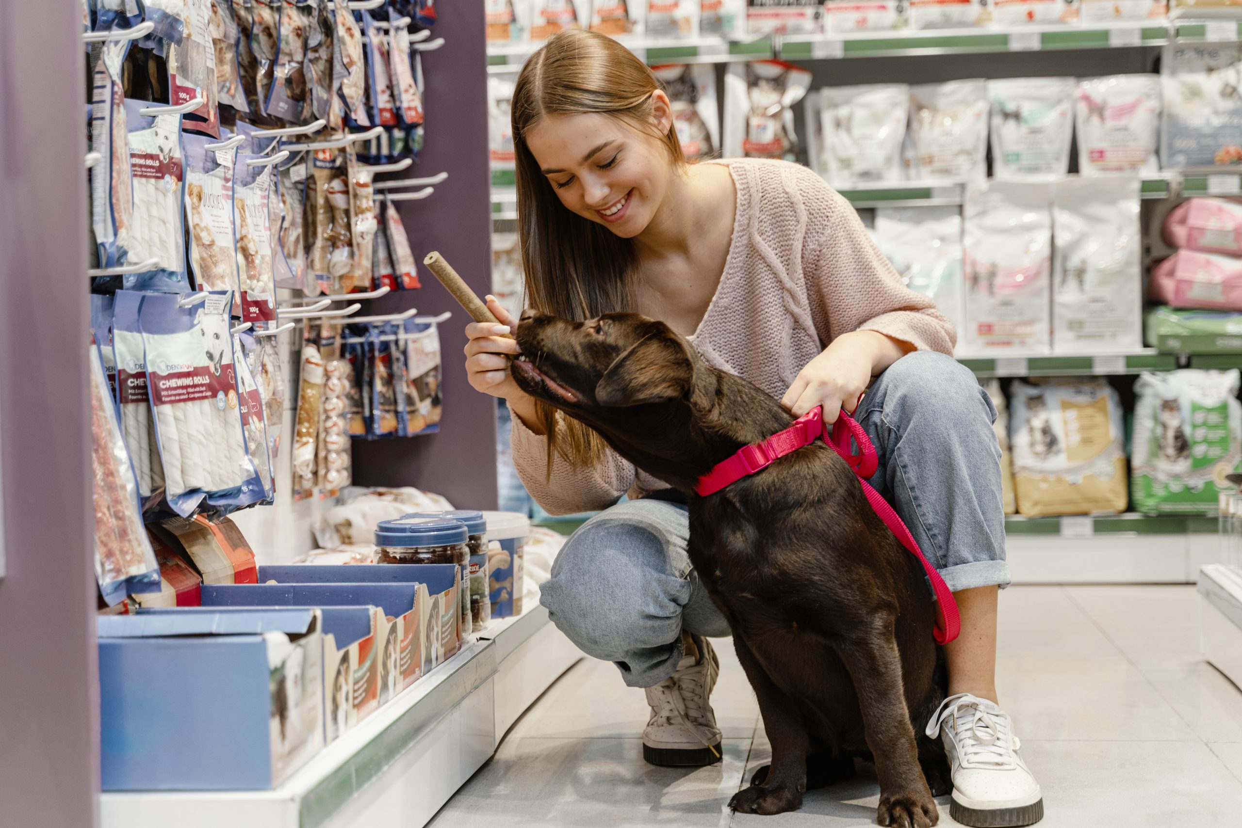 Marketing digital para negócios pet: atraia tutores online em Portugal