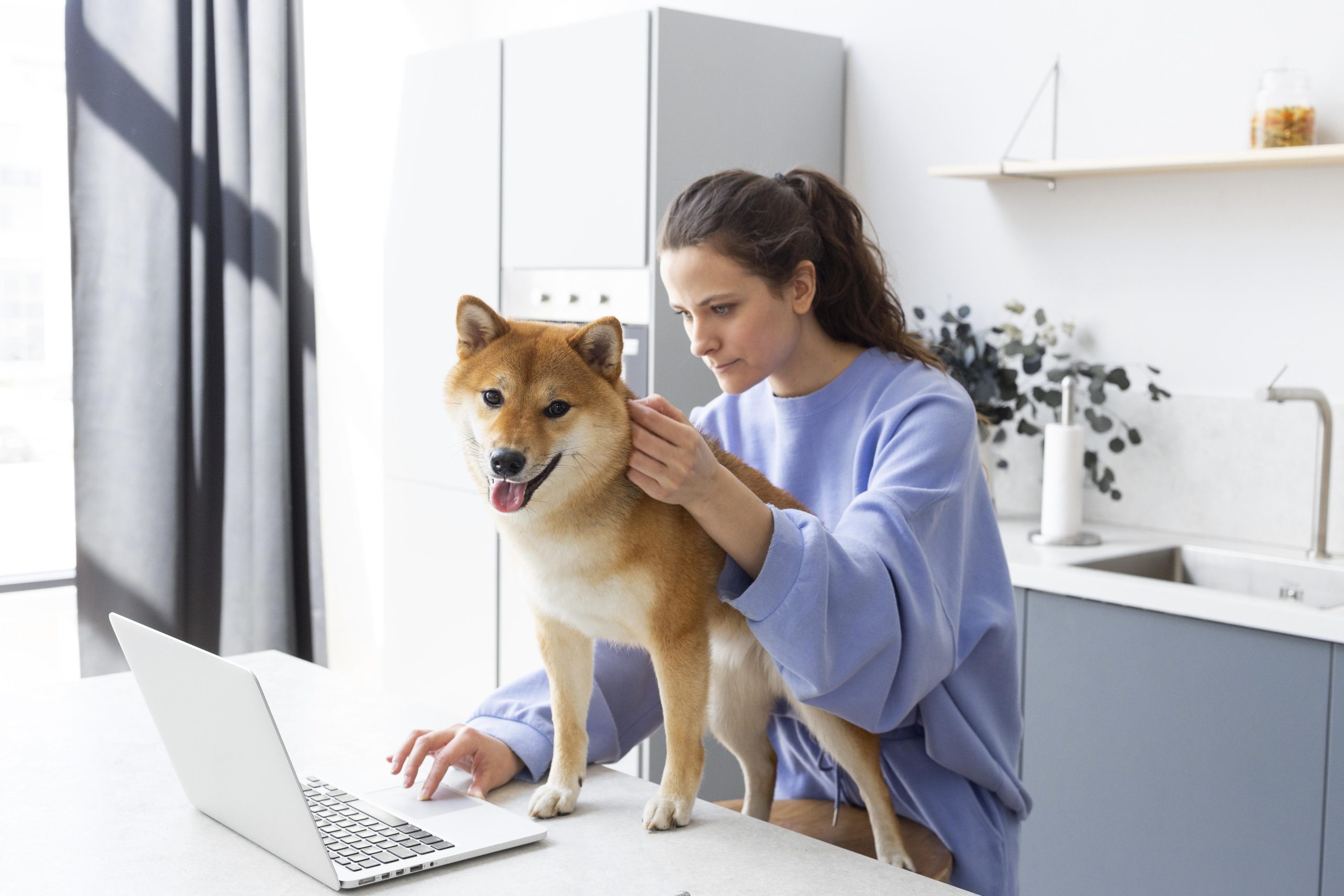 11 Passos de Marketing Digital para Clínicas Veterinárias sem Anúncios Pagos
